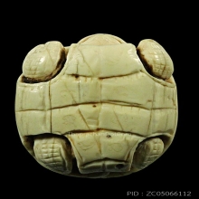 เต่างาแกะ มีจารเพียบ ขนาดประมาณ 1.5 x 2 นิ้ว