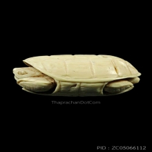 เต่างาแกะ มีจารเพียบ ขนาดประมาณ 1.5 x 2 นิ้ว