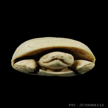 เต่างาแกะ มีจารเพียบ ขนาดประมาณ 1.5 x 2 นิ้ว