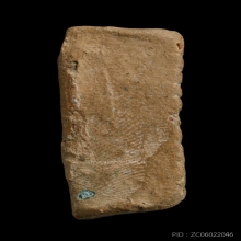 หลวงพ่อโตกรุบางกระทิง