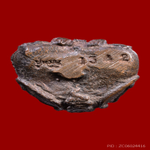 พระปิดตายันต์ยุ่ง โค๊ตปู่หมุน(นิยม) เนื้อนวะ หลวงปู่หมุน