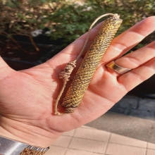 ตะกรุดรัตนมาลา หลวงพ่อเทียม วัดกษัตราธิราช