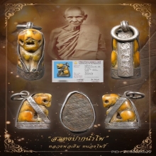 “เสือหายากกว่าสิงห์”หลวงพ่อเดิม หนองโพธิ์