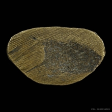 C.รูปหล่อโบราณ ลพ.มิ่ง วัดกก รุ่นแรก ปี2500