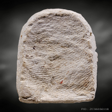 พุทธศิลป์ พิมพ์ฐานสูง(อกครุฑ) กรุวัดเงินคลองเตย