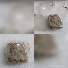 พระปิดตาผงกระดูกผีวัดโพธิ์ บัตรสมาคม