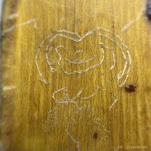 นางกวักหลวงพ่อกัน วัดเขาแก้ว