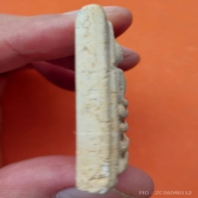 พระสมเด็จ ลป.นาค วัดระฆัง พิมพ์เศียรโต ปี 2495