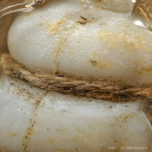 “น้ำเต้าดูดทรัพย์รุ่นแรก”หลวงพ่อสด ปากน้ำ