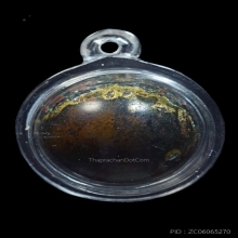 ปรอดกรอ ล้านนา สำรึด ตัวเมีย