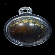 ปรอดกรอ ล้านนา สำรึด ตัวเมีย