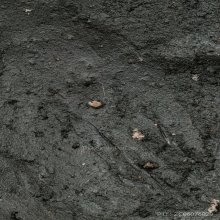 “สีผึ้งพราย59ตนตัวจริง“อาจารย์เปล่ง บุญยืน