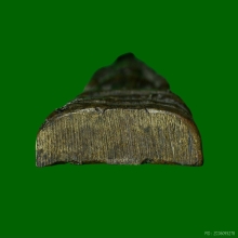 พระนาคปรกแสงอรุณ วัดบรมนิวาสฯ ปี2495