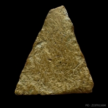 พระนางพญากรุโรงทอ