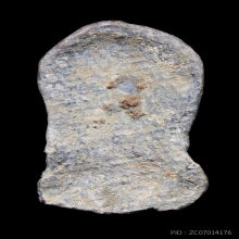 พระกรุซุ้มนครโกษา สนิมแดง ทับชุมพล สวยเต็มฟอร์ม