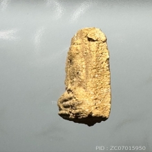 พระผงหลวงปู่สุข วัดโพธิ์ ทรายทอง ออกวัดป่าโรงเลื่อย