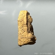 พระผงหลวงปู่สุข วัดโพธิ์ ทรายทอง ออกวัดป่าโรงเลื่อย