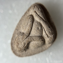 พระปิดตาฝังพลอยหลังยันต์ห้า หลวงปู่ทิมวัดละหารไร่