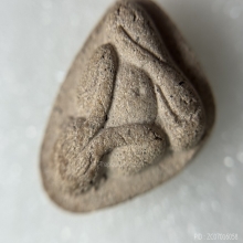 พระปิดตาฝังพลอยหลังยันต์ห้า หลวงปู่ทิมวัดละหารไร่