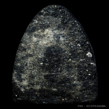 หลวงปู่ทวด วัดช้างให้ ปี2524 เนื้อว่าน พิมพ์กลางบิ๊กบอล