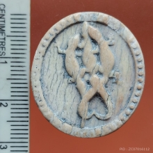 จิ้งจกงาแกะ 3 เกี้ยว