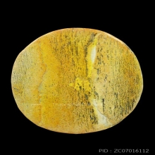 จิ้งจกงาแกะ 3 เกี้ยว