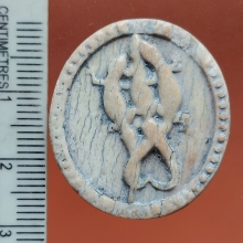 จิ้งจกงาแกะ 3 เกี้ยว