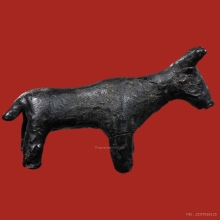 วัวธนูหลวงพ่อน้อย วัดศีรษะทอง