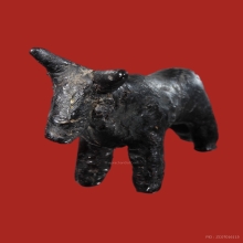 วัวธนูหลวงพ่อน้อย วัดศีรษะทอง