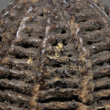 หมากทุยหลวงปู่เอี่ยม วัดหนัง