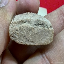 พระขุนแผน พ่อฑูรย์  โพธินิมิตร 2494  สวยเดิมๆหายาก