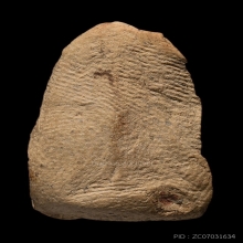 พระรอดกรุวัดมหาวันพิมพ์ต้อ