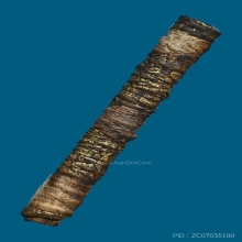 ตะกรุดหนังเสือ 