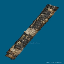 ตะกรุดหนังเสือ 