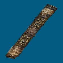 ตะกรุดหนังเสือ 