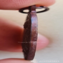 เหรียญเสือน้อย ปี 21 หลวงพ่อสุด วัดกาหลง