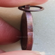 เหรียญเสือน้อย ปี 21 หลวงพ่อสุด วัดกาหลง