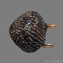 ยุคต้น  เบี้ยแกหลวงปู่เจือ วัดกลางบางแก้ว