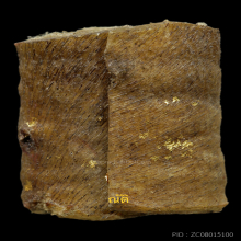 ตะกรุดหนังเสือ