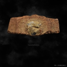 พระหลวงพ่อมุ่ย วัดดอนไร่ สุพรรณบุรี ปี 2508  พิมพ์ทรงนก