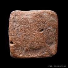 ปลาหมอ หลวงพ่อปาน วัดบางนมโค