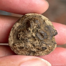 หลวงปู่จีนวัดท่าลาดใช้ช้ำ ตัวจริงเสียงจริงพิมพ์นิยมครับ