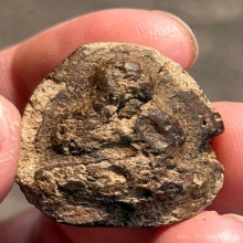 หลวงปู่จีนวัดท่าลาดใช้ช้ำ ตัวจริงเสียงจริงพิมพ์นิยมครับ