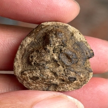 หลวงปู่จีนวัดท่าลาดใช้ช้ำ ตัวจริงเสียงจริงพิมพ์นิยมครับ