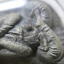 พระปิดตากนกข้าง หลวงปู่โต๊ะวัดประดู่ฉิมพลี ตะกรุดคู่