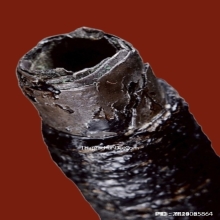 ตะกรุดหลวงพ่อปาน วัดคลองด่าน จ.สมุทรปราการ เนื้อเงิน ยุคต้น