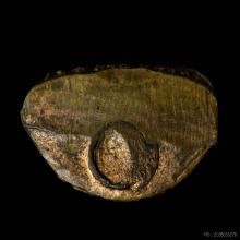 รูปหล่อปั้ม หลวงพ่อนิล วัดสำนักคร้อ จ.กาญจนบุรี รุ่นแรก