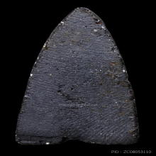 หลวงปู่ทวด ดำ (นิยม) วัดประสาทฯ ปี 06 สวยมากครับ