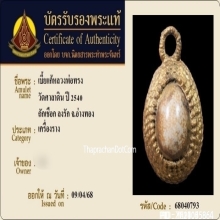 เบี้ยแก้หลวงพ่อทรง วัดศาลาดิน อ่างทอง