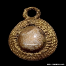 เบี้ยแก้หลวงพ่อทรง วัดศาลาดิน อ่างทอง